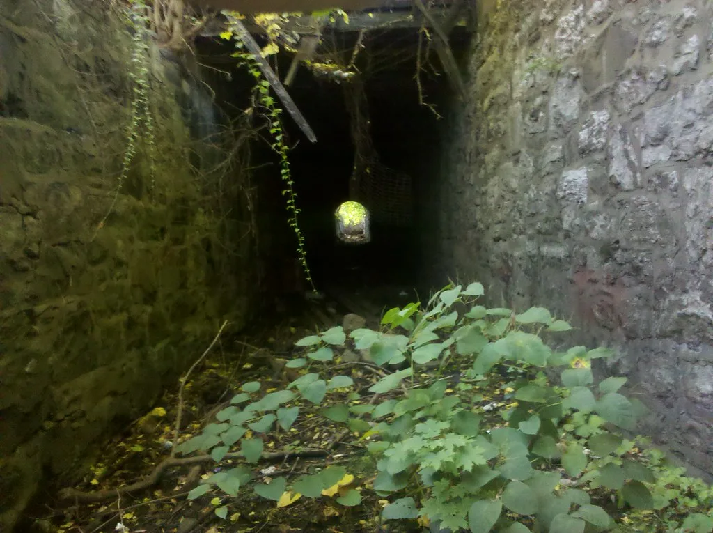 Stone passage overgrown with vegetation beneath a collapsed roof.