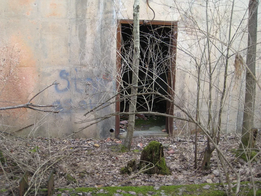 Open entrance of an old building overgrown with trees and debris.