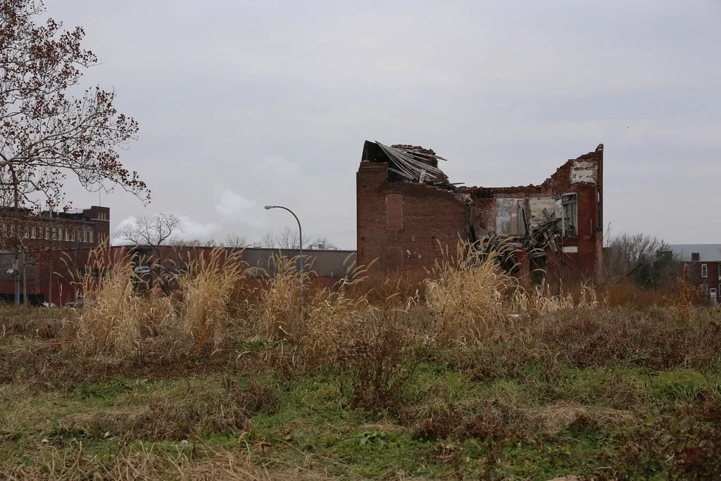 Brick ruin with a collapsed roof amid tall grass.