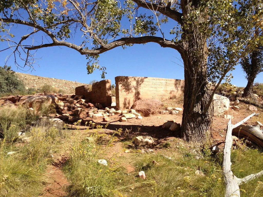 Ruines de murs ocre et pierres éparses sous un arbre.