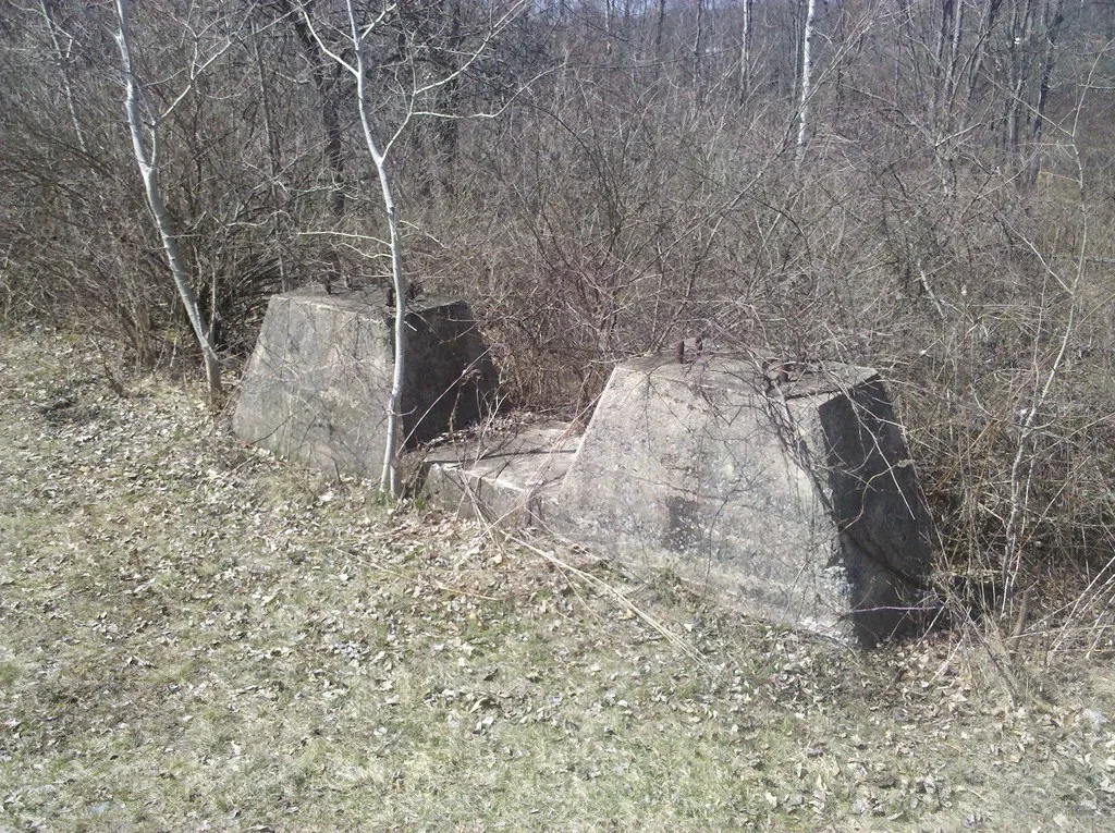 Old concrete supports overgrown with bushes.
