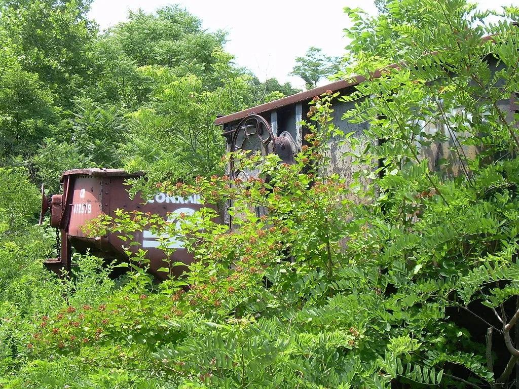 Old freight wagons overgrown with dense vegetation.