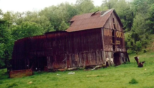 Large red barn with a holed roof and separated boards before trees.
