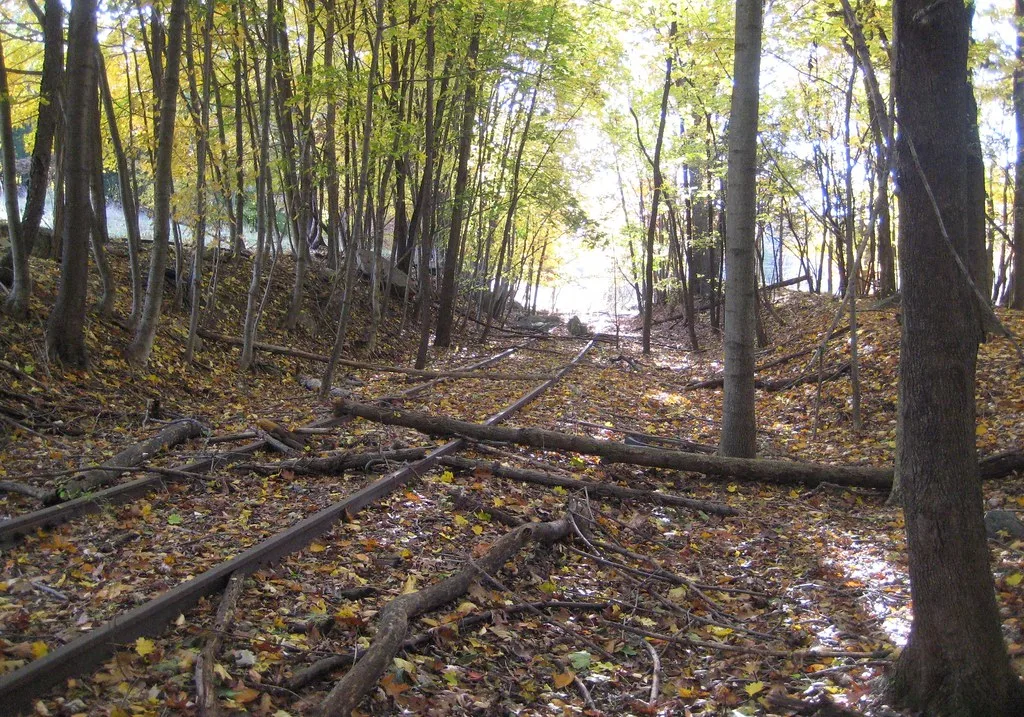 Rusty rails obstructed by logs and leaves in woodland.