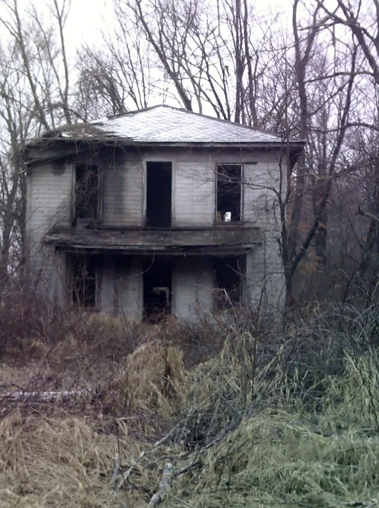 Abandoned two-story house with gaping openings behind brush and bare trees.
