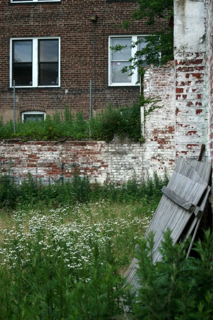 Remains of whitewashed brick walls overgrown with flowers and grass.