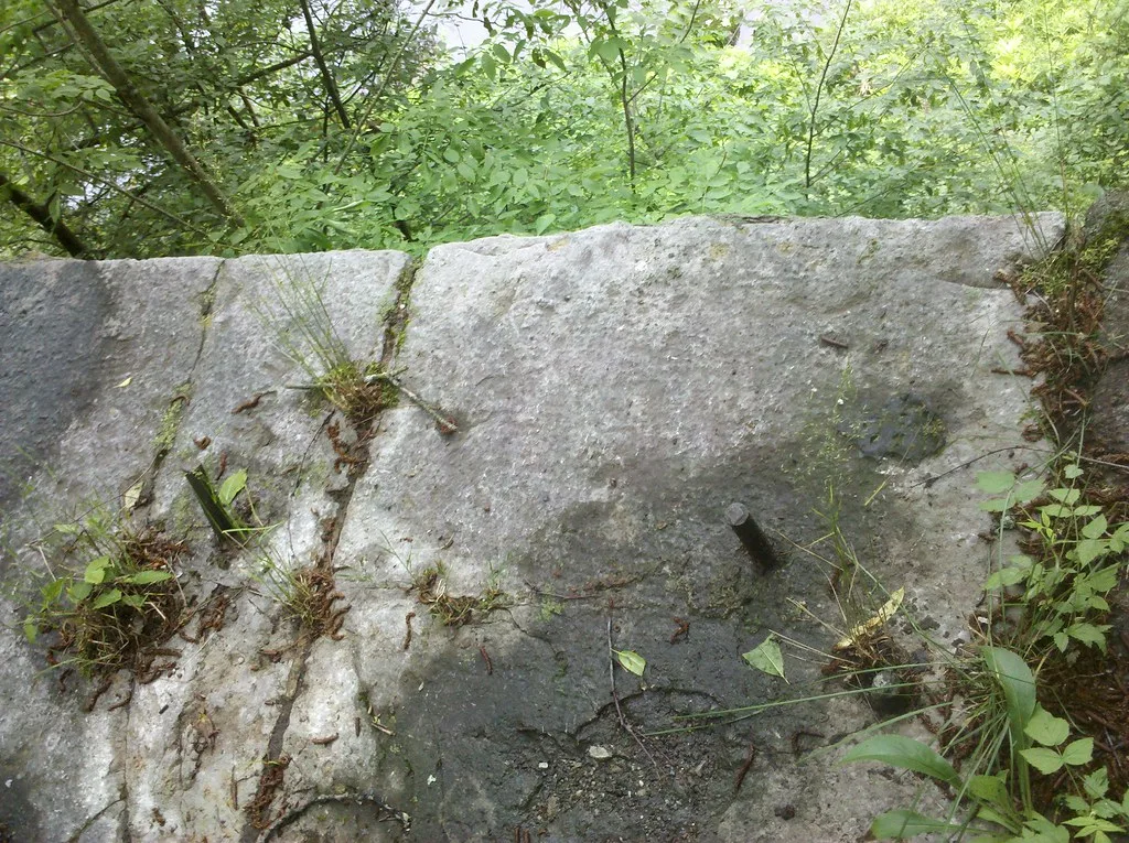Vestige de béton fissuré et boulons rouillés dans la végétation.