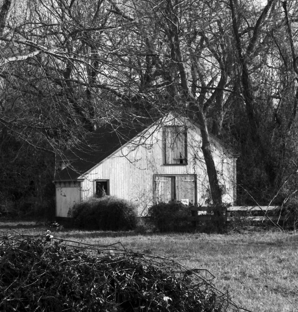Old white shed with boarded openings among trees, in black and white.