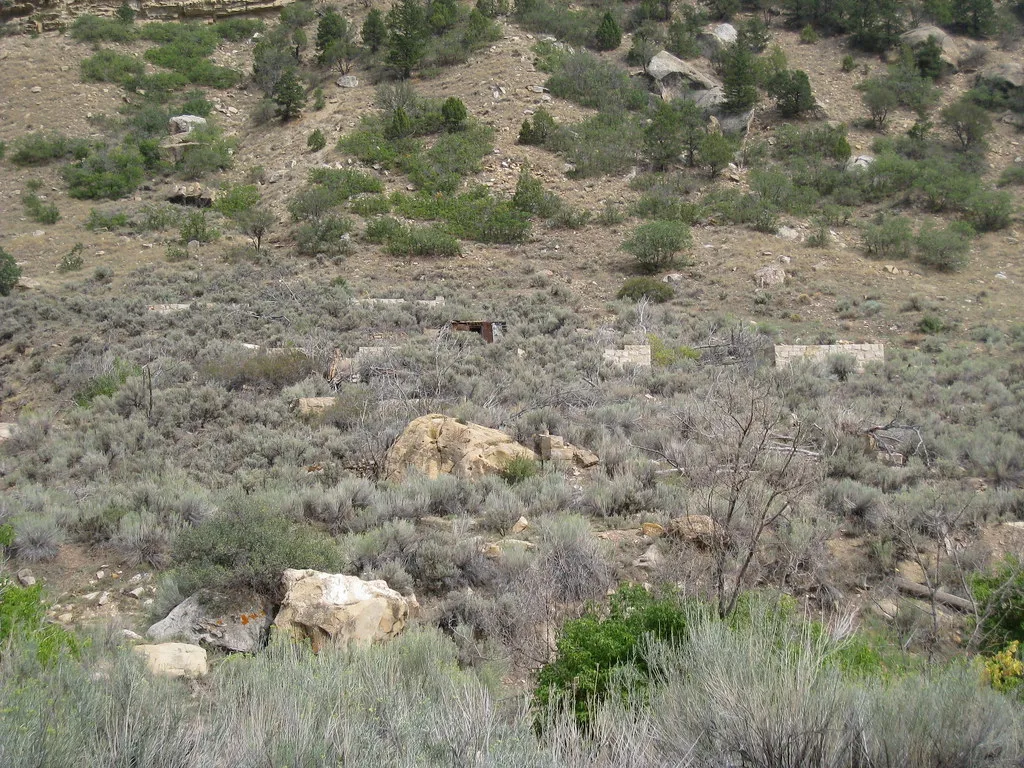 Vestiges de murs au milieu des arbustes sur une pente aride.