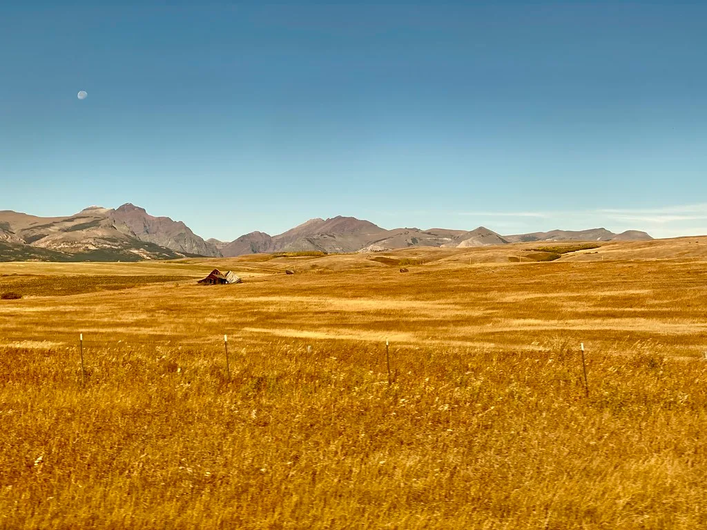 Small collapsed farm buildings in golden grassland before mountains.