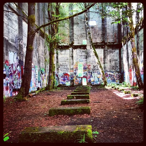 Mossy stairs inside a former mill overgrown with trees.