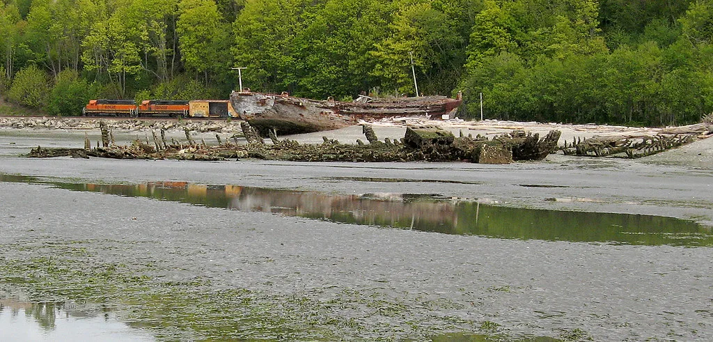 Wooden wrecks with exposed ribs on a low-tide shore below a wooded bank.