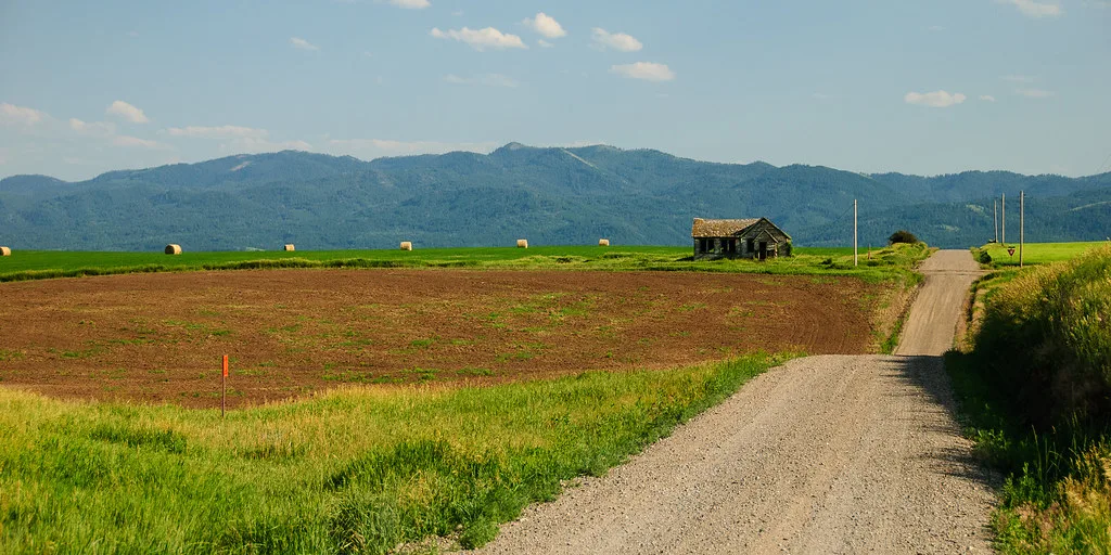 Old wooden house in fields beside a rural track.
