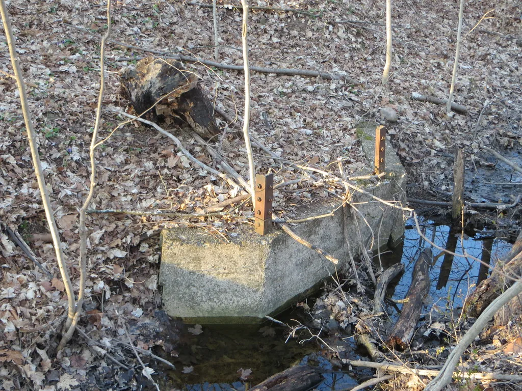 Ancien socle de béton aux attaches rouillées au bord d’une eau stagnante dans les bois.