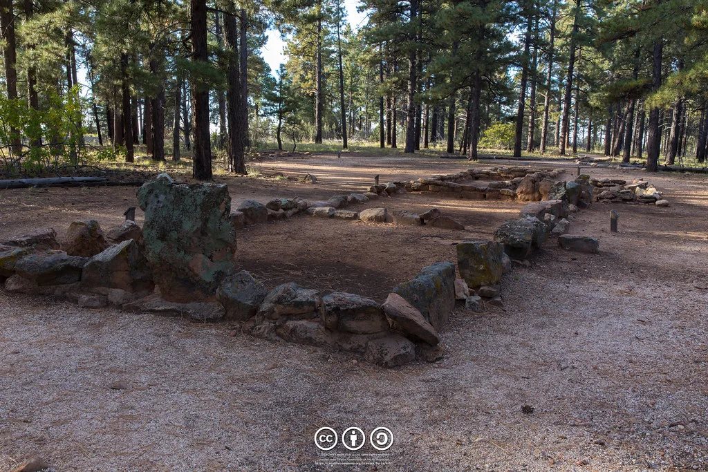 Stone foundations of an old building in a pine forest.