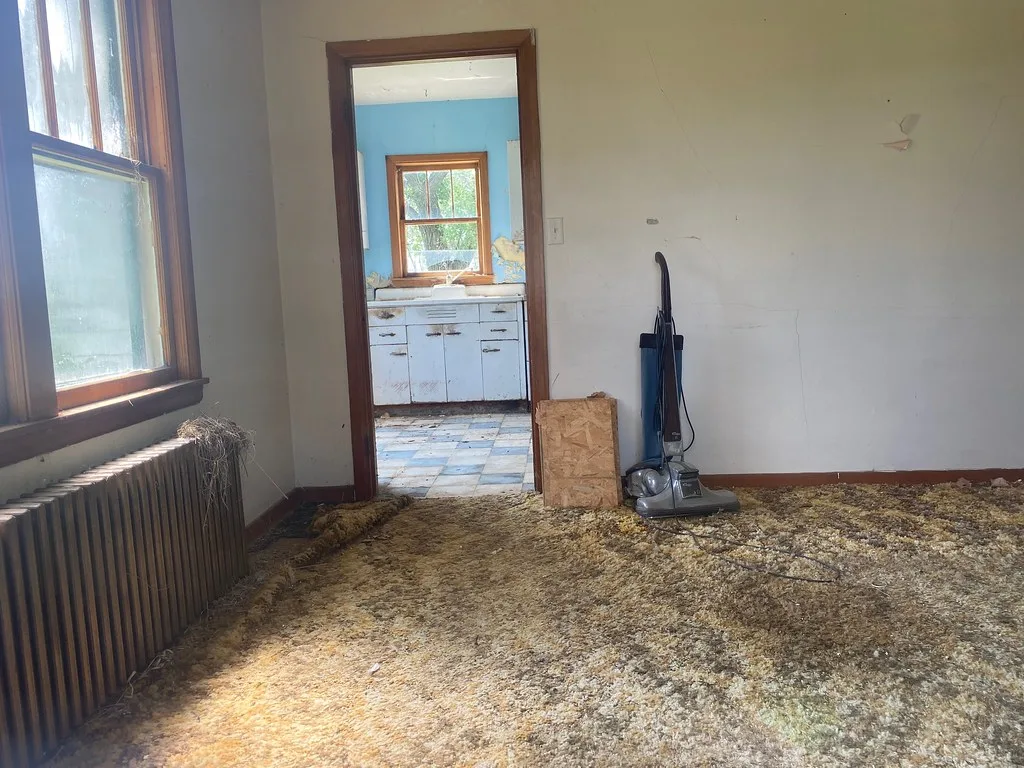 Old interior with deteriorated carpeting opening onto a small kitchen.