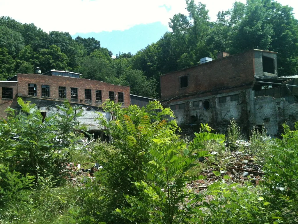 Old industrial buildings overgrown with vegetation and rubble.