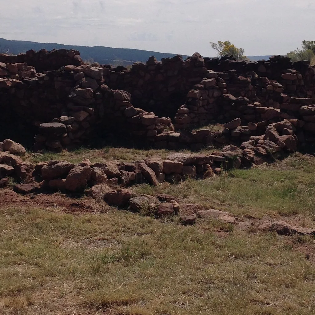 Stone wall remains among dry grass.