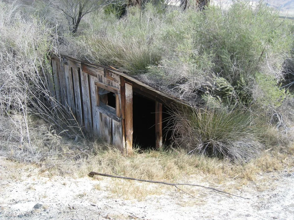 Small sagging wooden cabin in a brush-covered bank, with a gaping doorway.