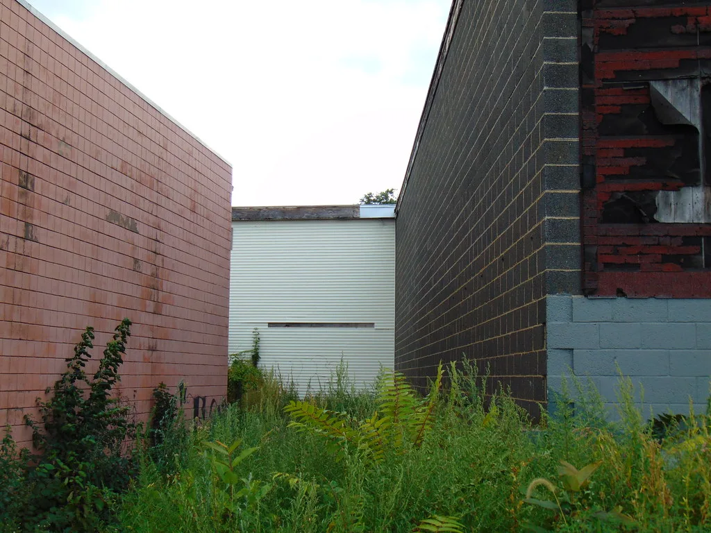 Passage overgrown with tall grass between old building walls.