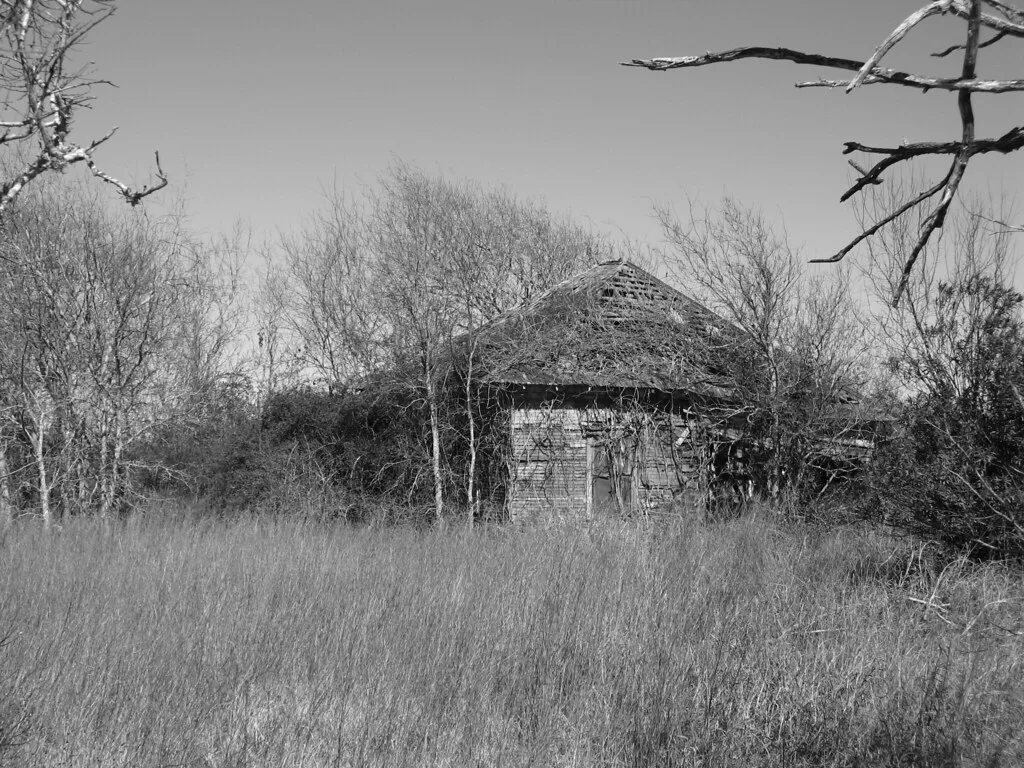 Small abandoned house with a broken roof and deteriorated cladding, engulfed in vines and tall grass, in black and white.