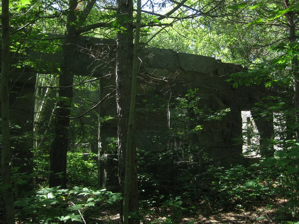 Building ruins with empty openings overgrown by woodland.