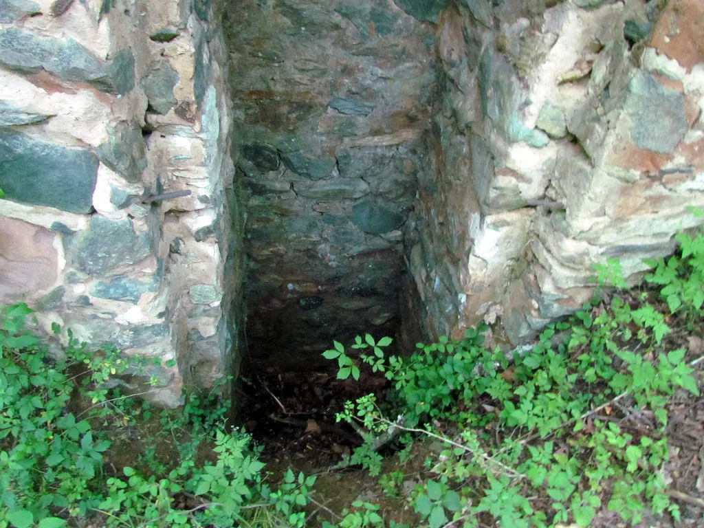 Opening in old stone masonry overgrown with plants.