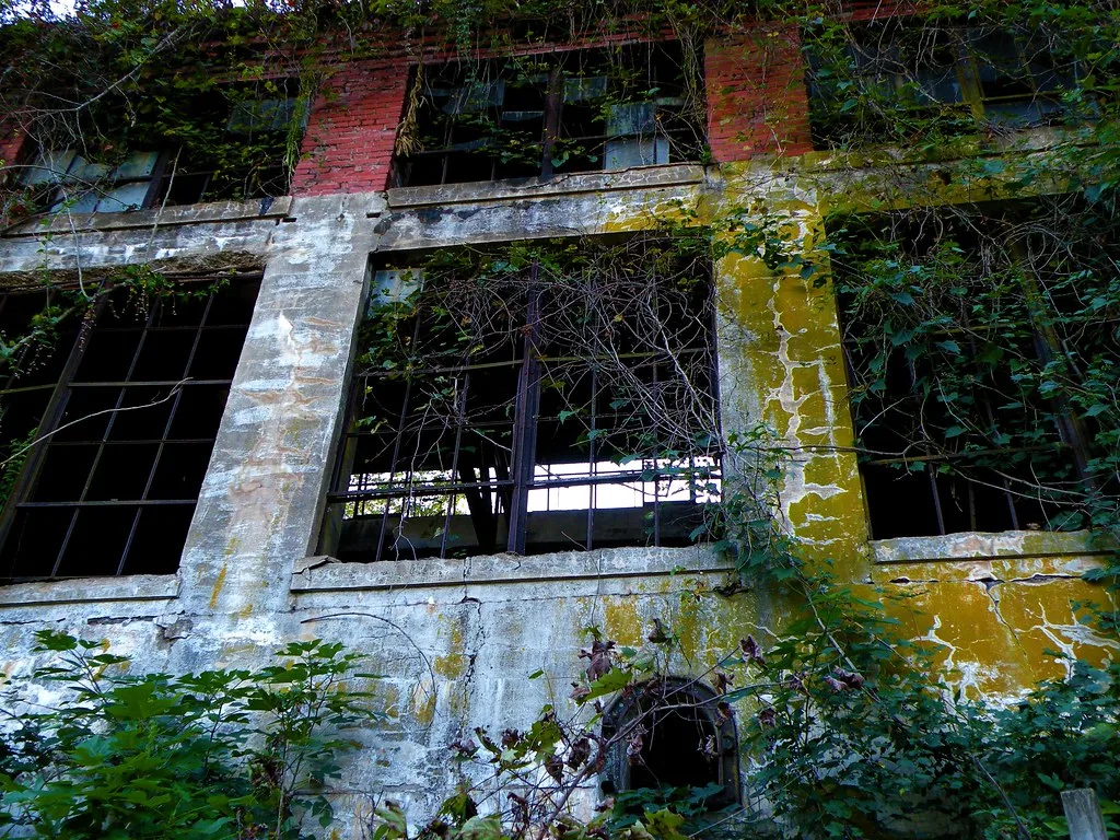 Industrial facade with broken windows overgrown with climbing plants.