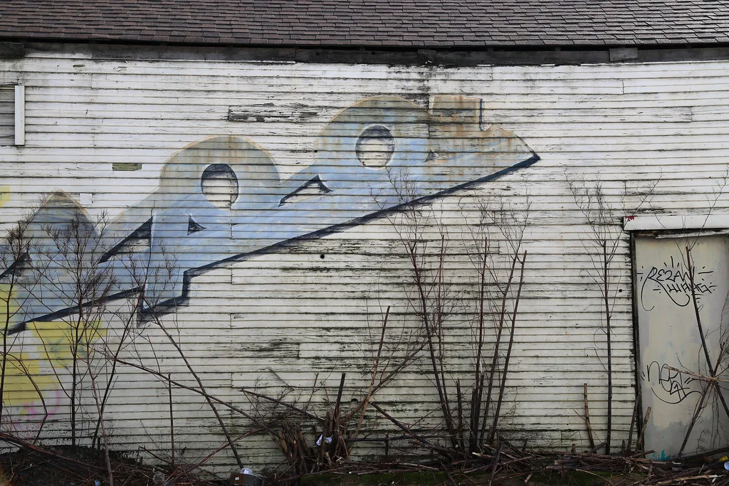 White wooden wall covered in graffiti and bordered by brush.
