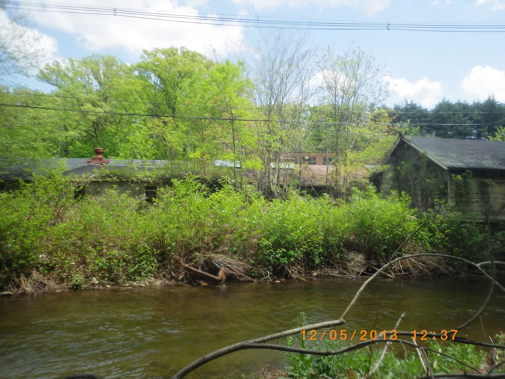 Old buildings overgrown with trees beside a stream.