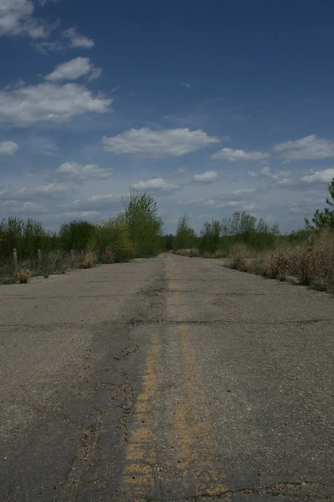 Old cracked road with faded yellow lines between shrubs.