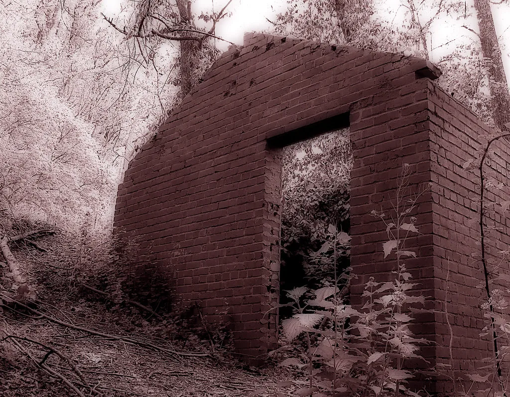 Ruine de briques envahie de végétation dans les bois, en tons rosés.