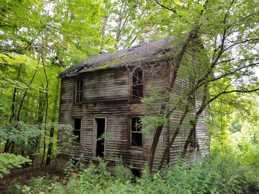 Two-storey wooden house with empty openings and a mossy roof among trees.