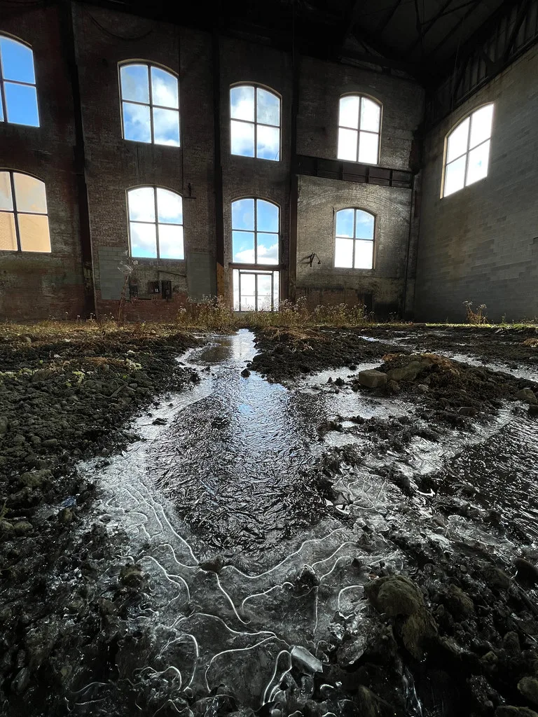 Interior of an old hall with damaged ground, water and vegetation.