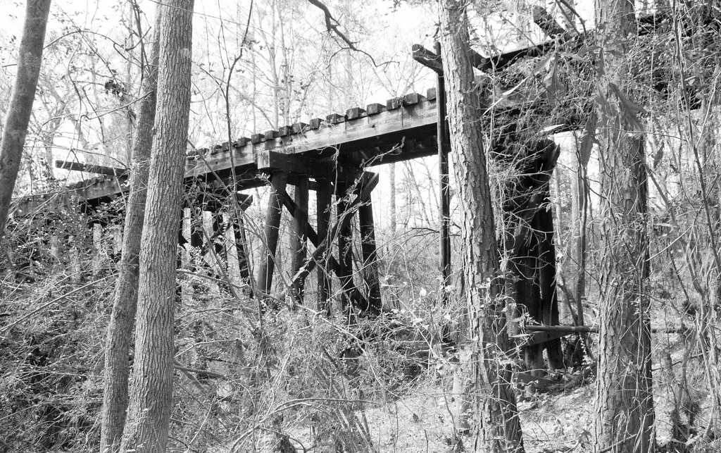 Old wooden trestle bridge surrounded by trees and branches.