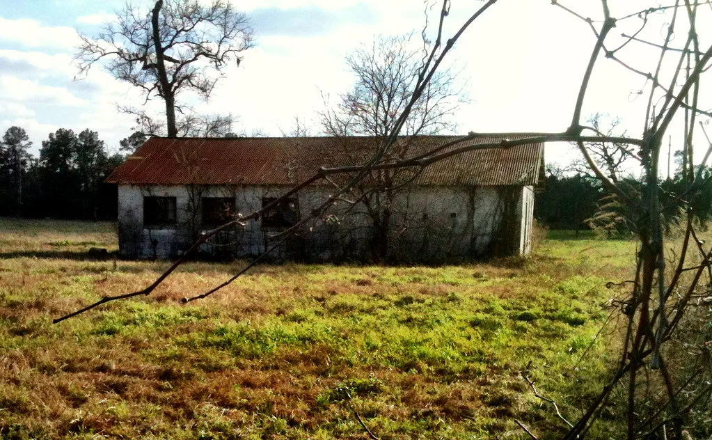 Small abandoned building with a rusty corrugated roof and empty windows in a field.