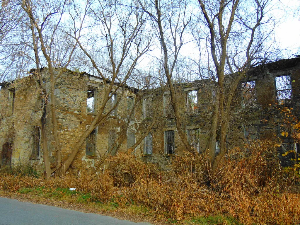 Ruines de bâtiment en pierre envahies d’arbres au bord d’une route.