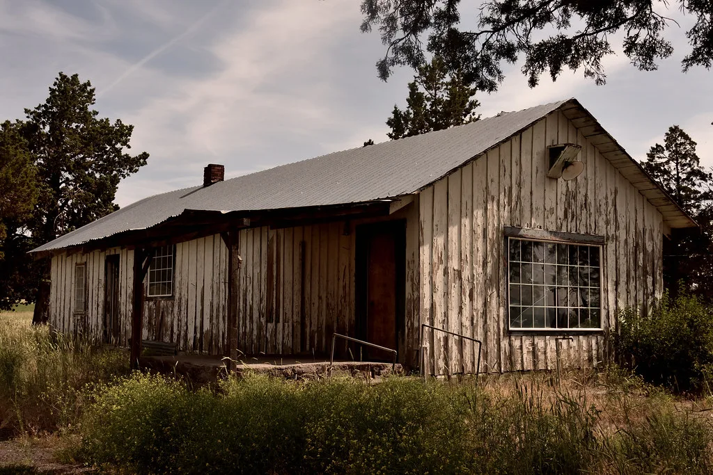 Old light-coloured wooden building overgrown with tall grass.