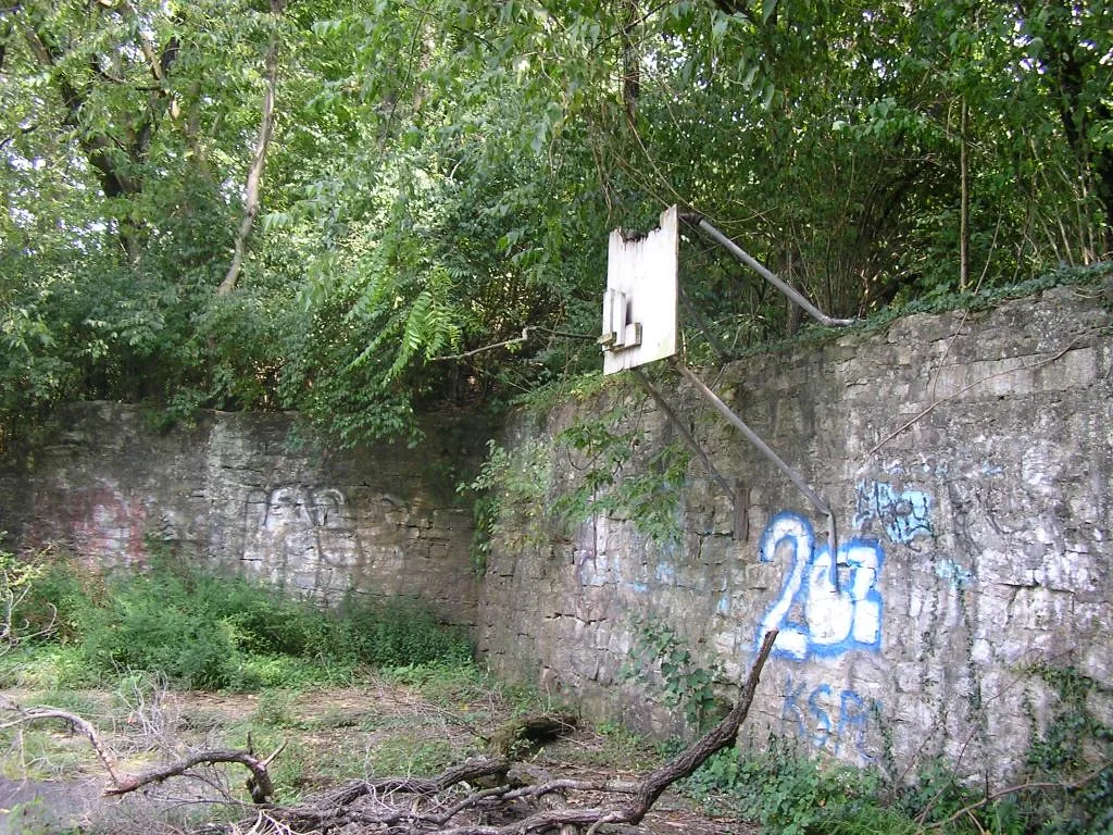 Damaged basketball backboard on a stone wall amid vegetation.