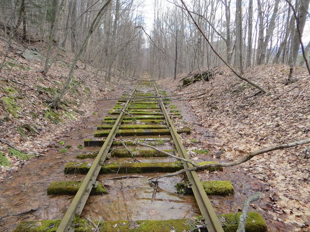 Moss-covered flooded old railway track in leafless woodland.