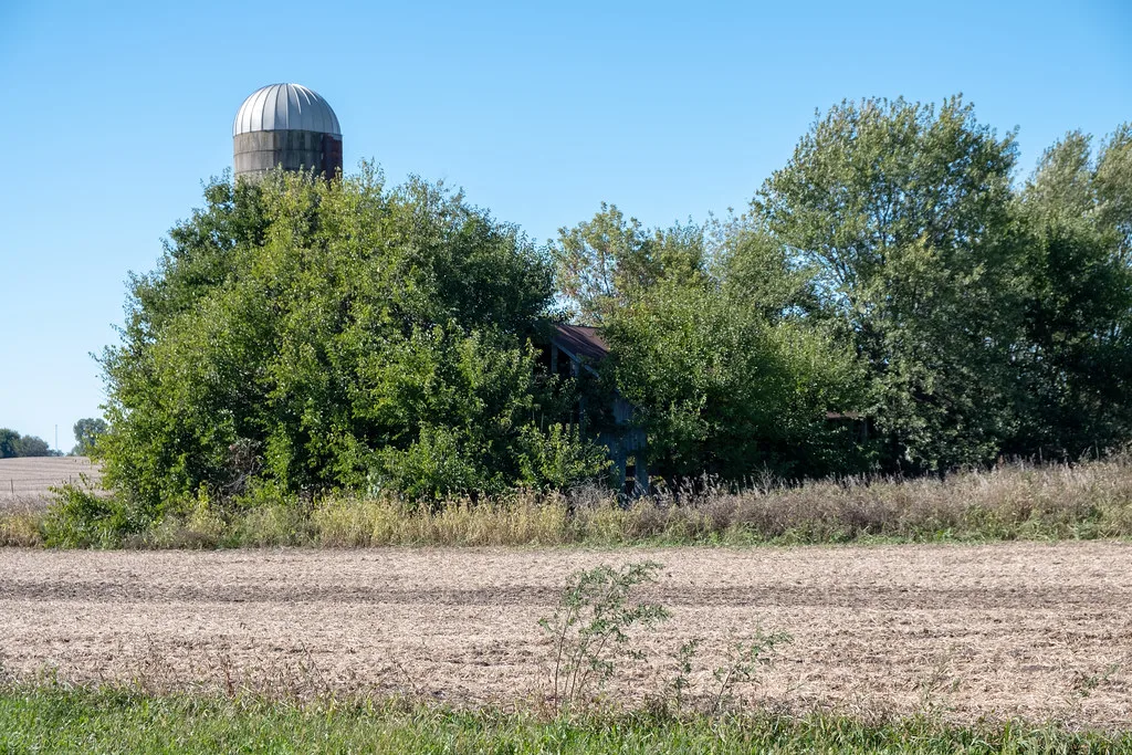 Ancienne grange et silo presque masqués par les arbres au bord d’un champ.