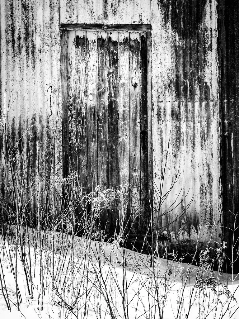 Old boarded opening in a deteriorated wall, behind plants in the snow.