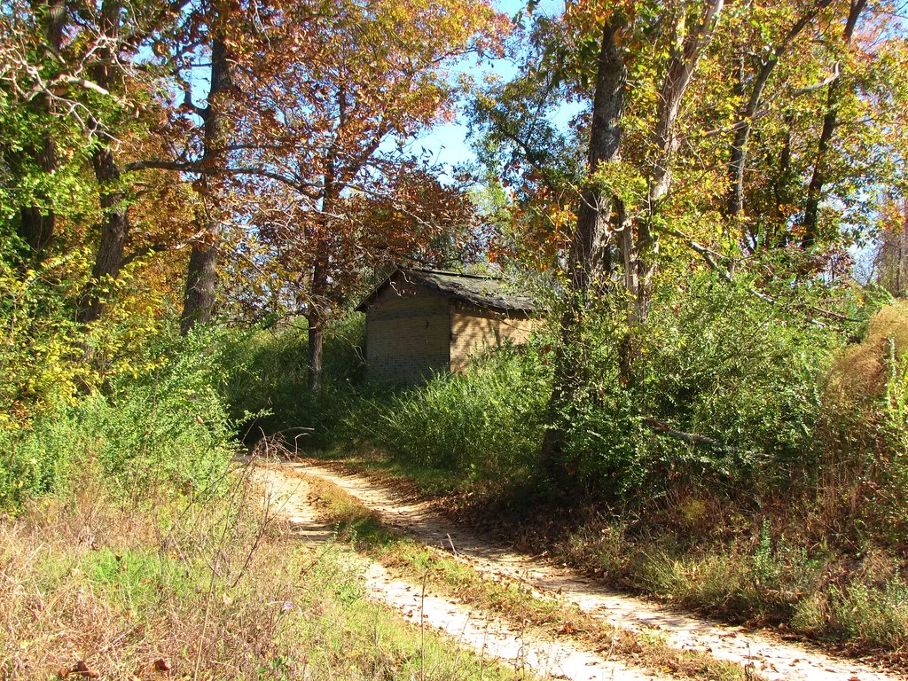 Old small building overgrown with vegetation beside a path.