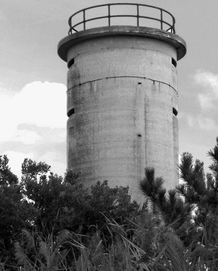 Old cylindrical concrete tower among shrubs, in black and white.
