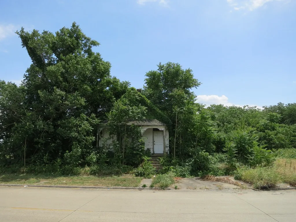 Front of a small house almost hidden by trees and plants.