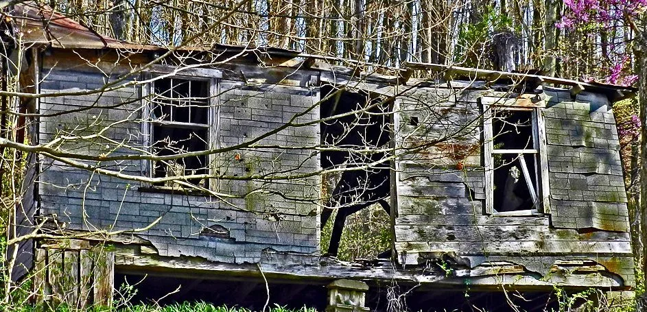 Petite construction ruinée aux fenêtres vides dans un sous-bois.