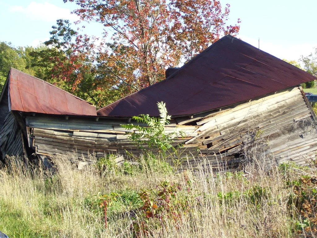Collapsed wooden building with a rusty metal roof in tall grass.