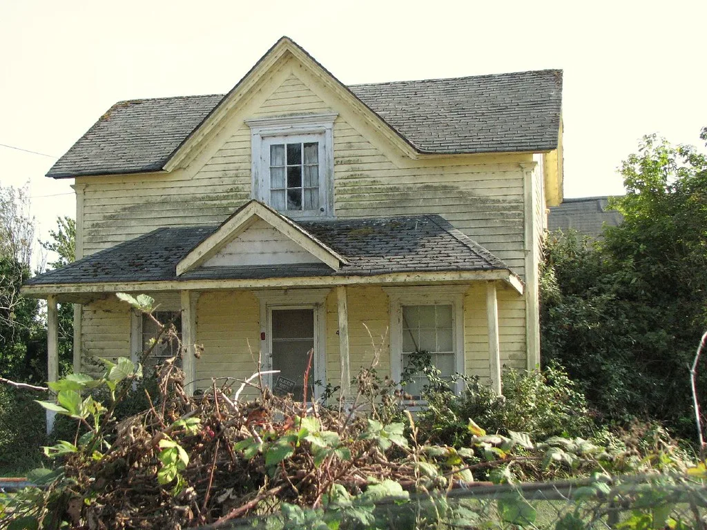 Neglected yellow house with a weathered porch and roof behind dense brambles.