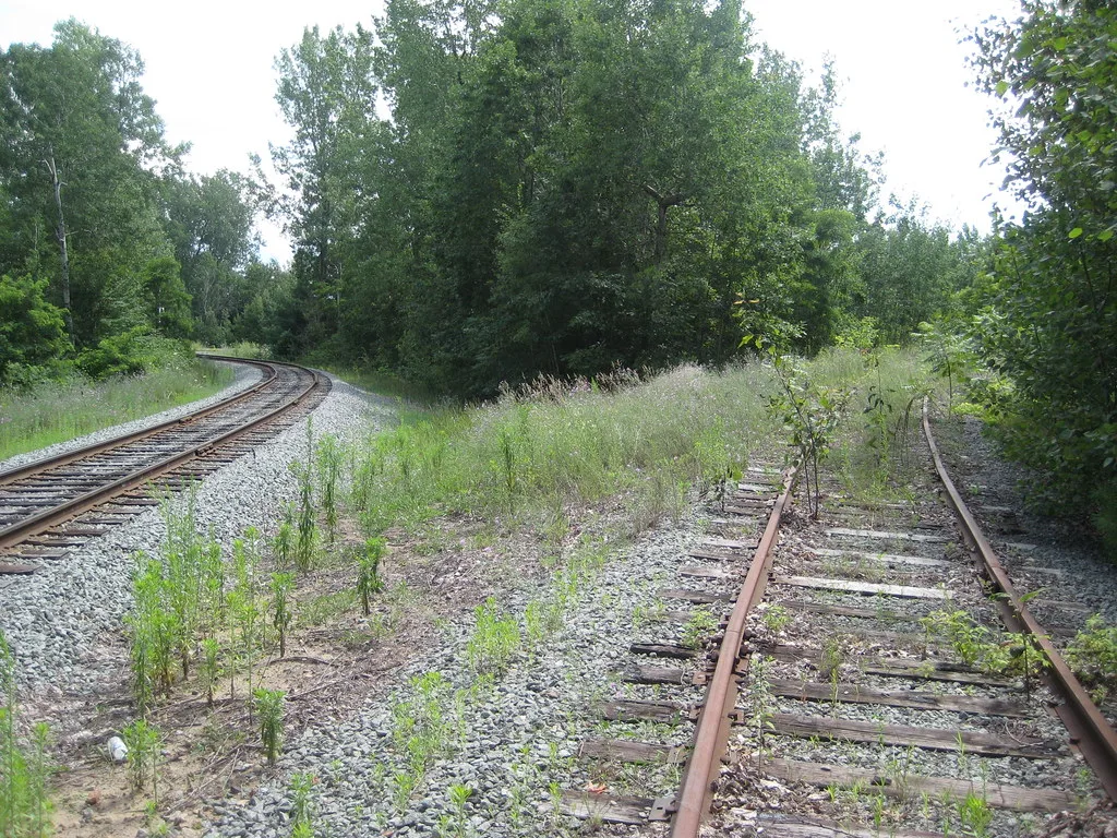 Abandoned railway track overgrown with grass and saplings beside a maintained track in woodland.