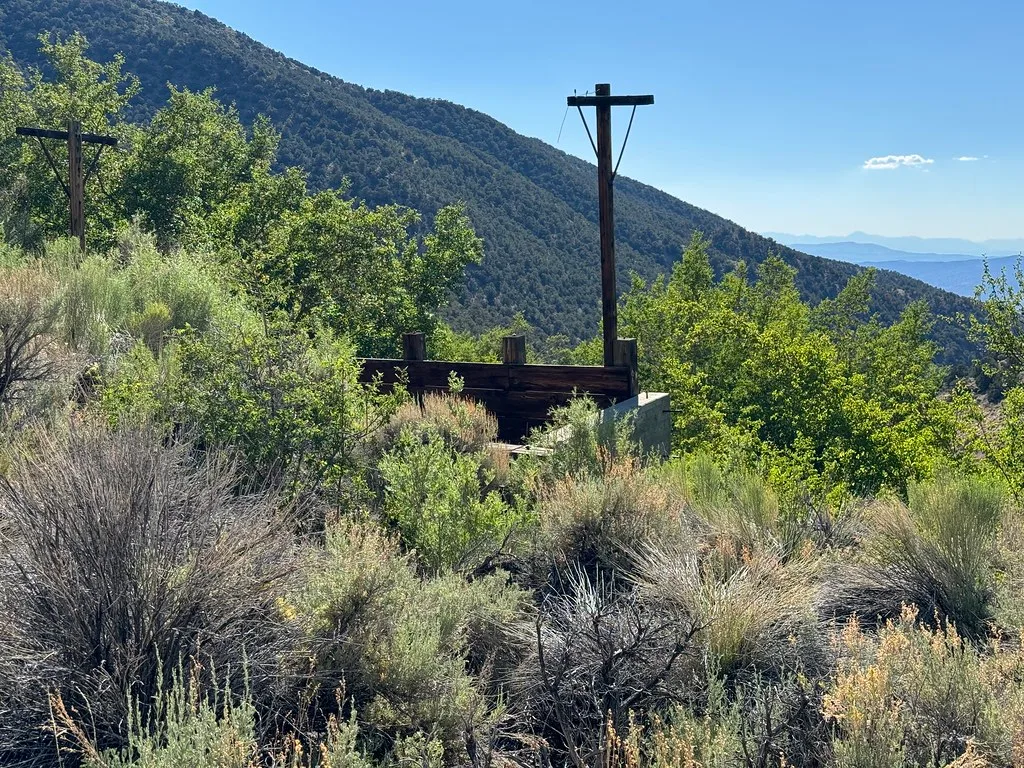 Remains of a wooden structure and disused posts amid brush on a mountain slope.